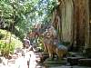 Ta Prohm